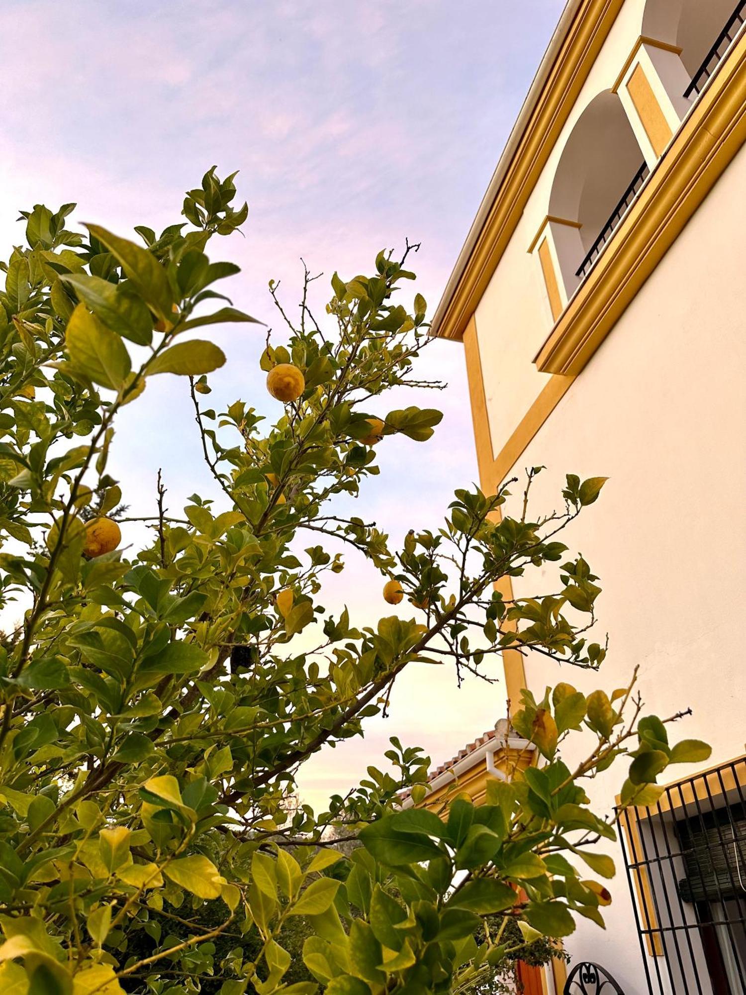 Hacienda El Tarajal Priego de Córdoba Exterior foto