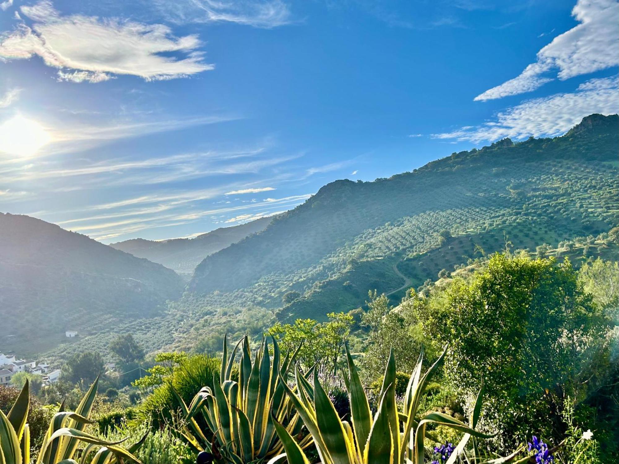 Hacienda El Tarajal Priego de Córdoba Exterior foto